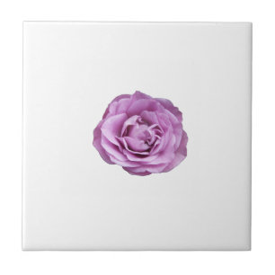 Photo of a lavender coloured rose on a ceramic tile