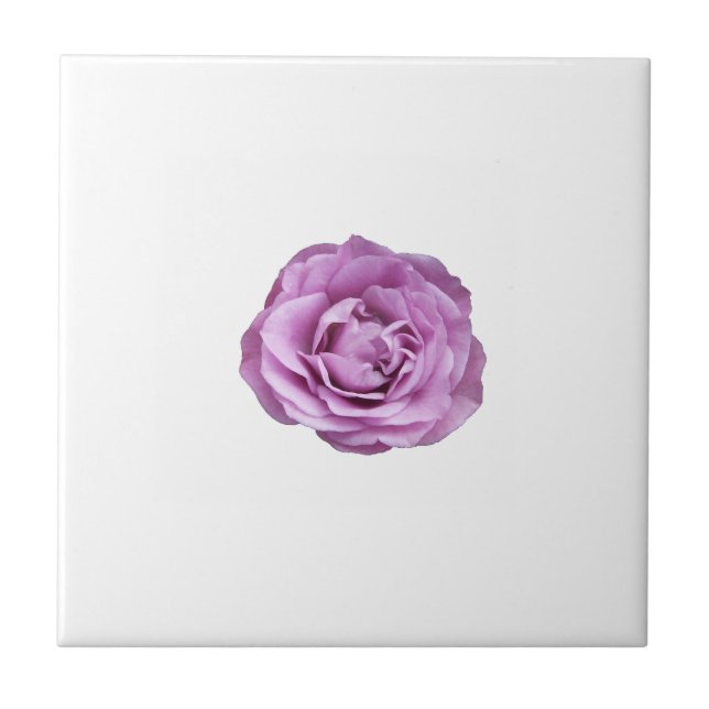 Photo of a lavender coloured rose on a ceramic tile (Front)