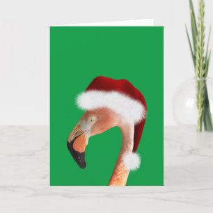 Photo of a pink flamingo in a red Santa hat Holiday Card
