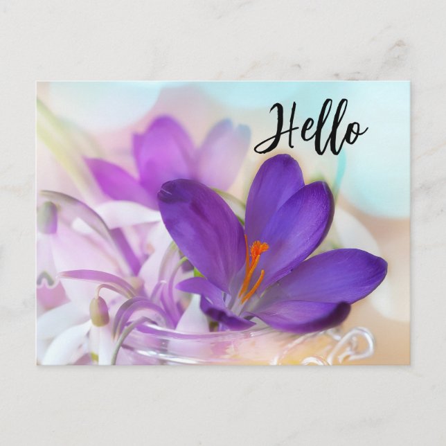  Photo of a Pretty Purple Spring Crocus Hello Holiday Postcard (Front)