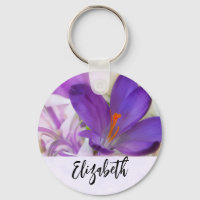 Photo of a Pretty Purple Spring Crocus