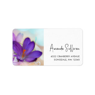 Photo of a Pretty Purple Spring Crocus Label