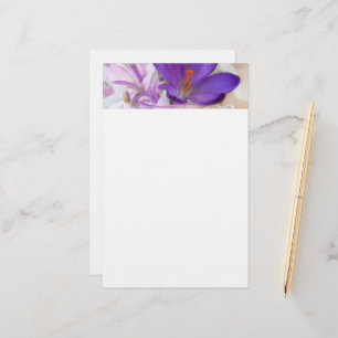 Photo of a Pretty Purple Spring Crocus Stationery