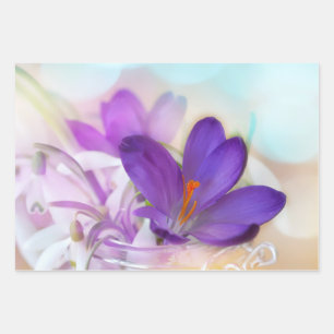 Photo of a Pretty Purple Spring Crocus Wrapping Paper Sheet