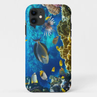 Photo of a tropical Fish on a coral reef