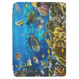 Photo of a tropical Fish on a coral reef iPad Air Cover