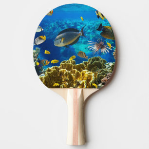 Photo of a tropical Fish on a coral reef Ping Pong Paddle
