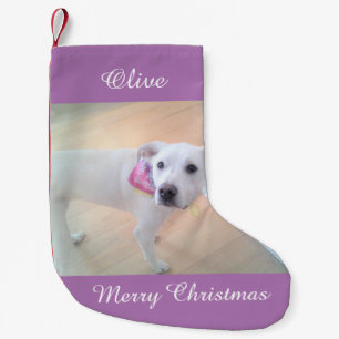 Photo of Adorable Puppy Dog Wearing Pink Scarf Sma Small Christmas Stocking
