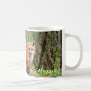 Photo of adorable red fox kits coffee mug