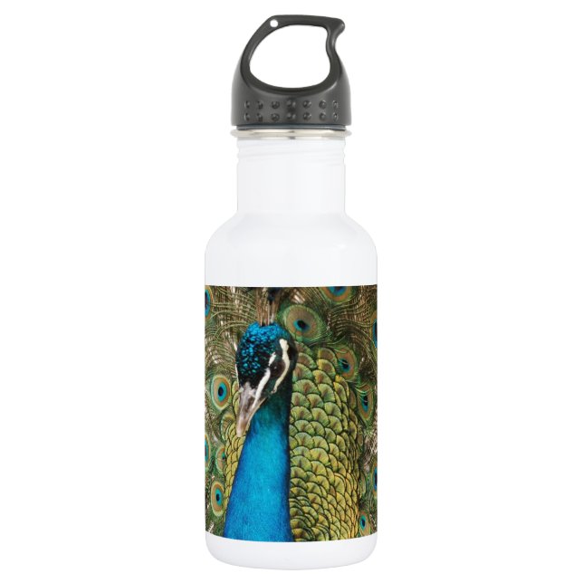 Photo of Beautiful Peacock with Spread Feathers 532 Ml Water Bottle (Front)