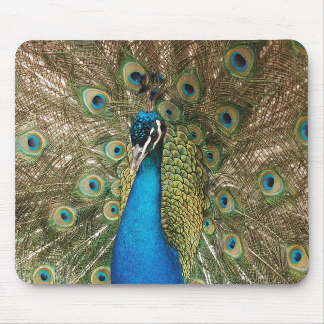 Photo of Beautiful Peacock with Spread Feathers Mouse Pad (Front)