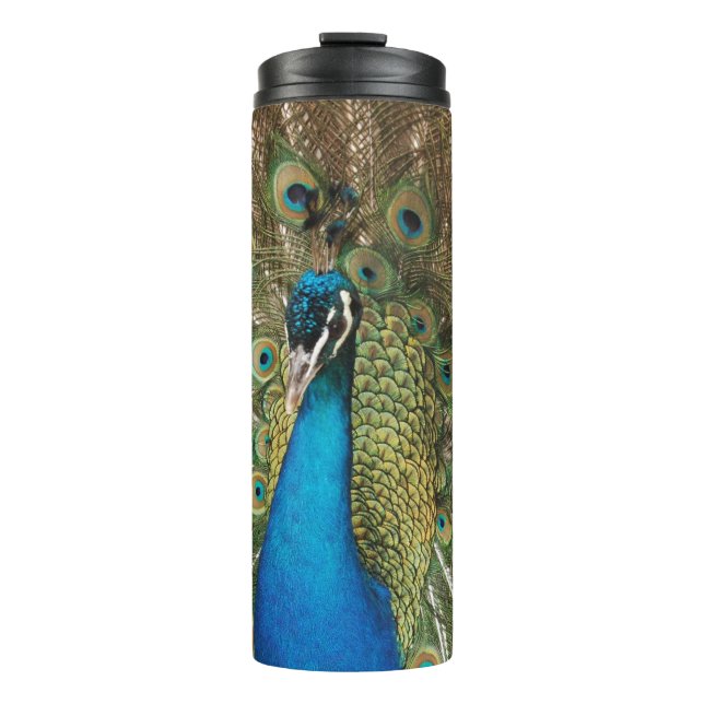 Photo of Beautiful Peacock with Spread Feathers Thermal Tumbler (Front)