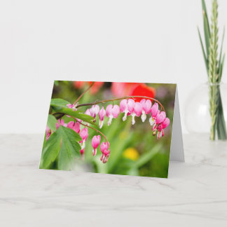 Photo of Bleeding heart flowers Card