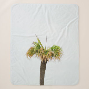 Photo of brown and green palm tree sherpa blanket