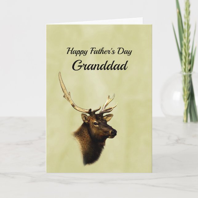 Photo of Bull Elk (head) nature Card (Front)
