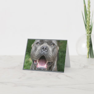 Photo of Cane Corso Card