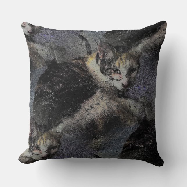 Photo of cat with effec trough cushion (Front)