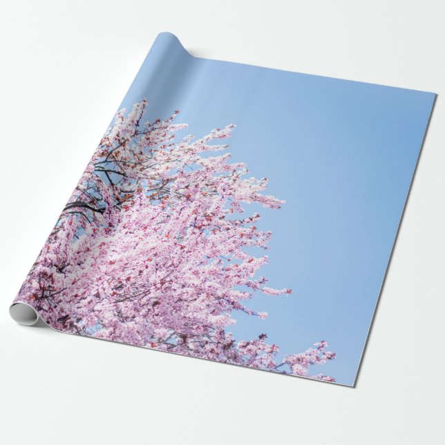 PHOTO OF CHERRY BLOSSOM TREE WRAPPING PAPER (Unrolled)