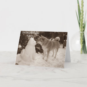 photo of cute akita kissing snowman snow dog holiday card