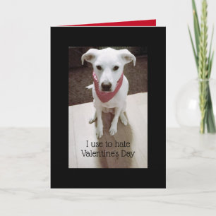 Photo of Cute Angry Dog Valentine's Day Black Card