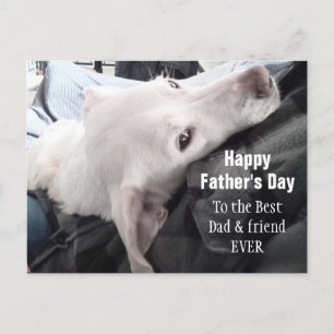 Photo of Cute Dog Best Dad and Friend Ever Postcard