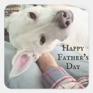 Photo of Cute Dog Best Dad Pal Ever Blue Denim Square Sticker
