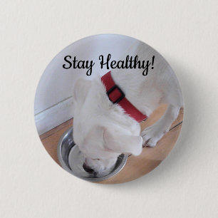 Photo of Cute Dog Drinking Water Motivational 6 Cm Round Badge