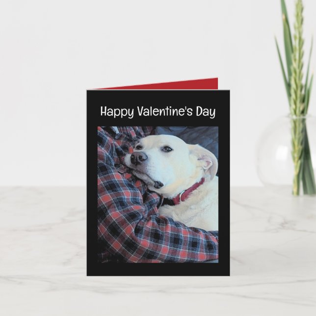 Photo of Cute Dog Hugging Dad Valentine's Day Holiday Card (Front)