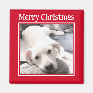 Photo of Cute Dog Merry Christmas Red Magnet