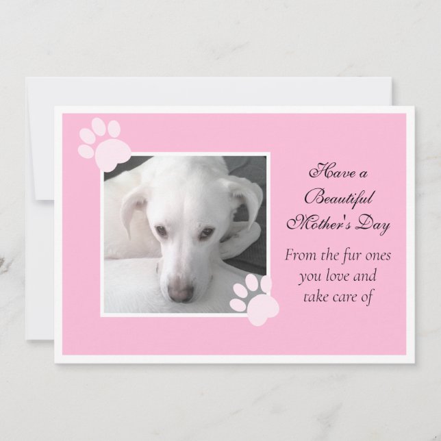 Photo of Cute Dog Pink Mother's Day Paw Frame Holiday Card (Front)