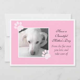 Photo of Cute Dog Pink Mother's Day Paw Frame Holiday Card