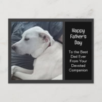 Photo of Cute Dog with Dad Companion Father's Day