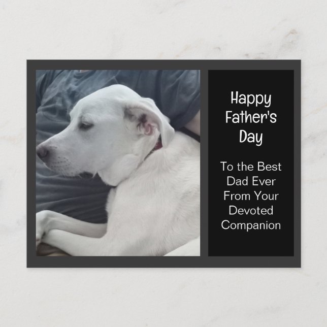 Photo of Cute Dog with Dad Companion Father's Day Holiday Postcard (Front)