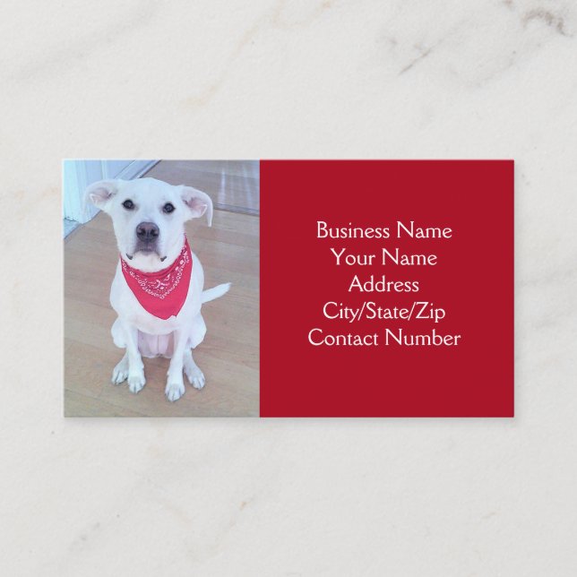 Photo of Cute Dog With Funny Sticking Out Ears Red Business Card (Front)