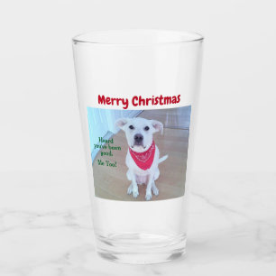 Photo of Cute Dog With Funny Sticking Out Ears Red Glass