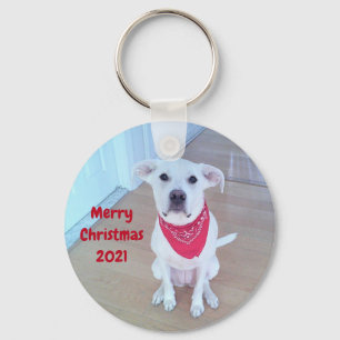 Photo of Cute Dog With Funny Sticking Out Ears Red Key Ring