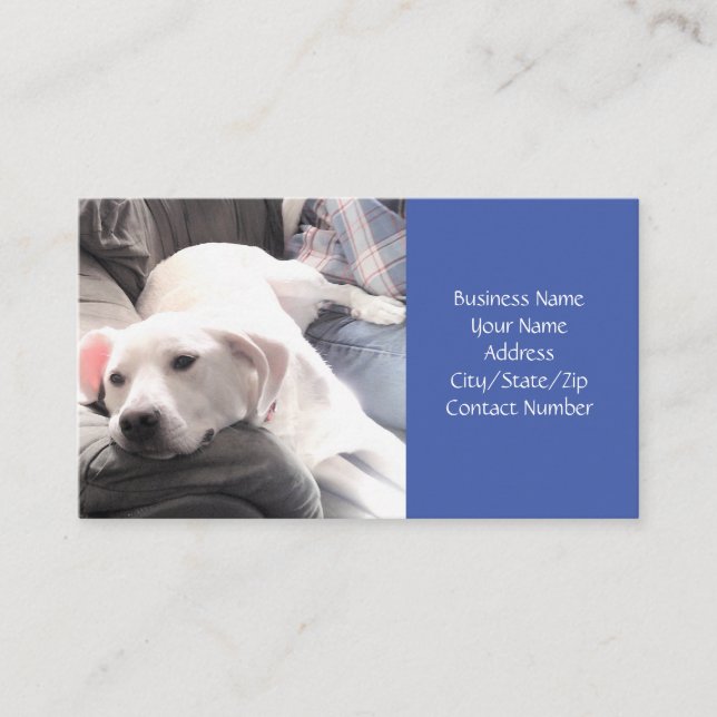 Photo of Cute Lazy Dog Sitting on Couch With Dad Business Card (Front)