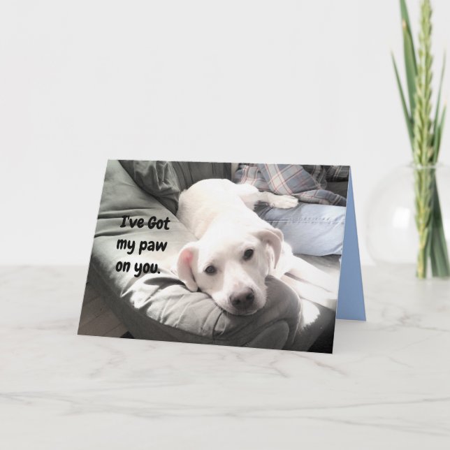 Photo of Cute Lazy White Dog Hanging Out with Dad Card (Front)