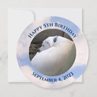 Photo of Cute Puppy Dog Sleeping Blue Birthday