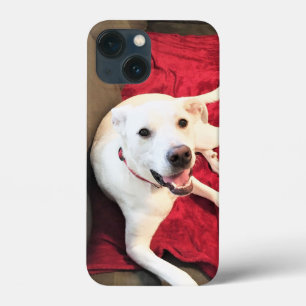 Photo of Cute Smiling White Dog Red iPhone 13 Mini Case