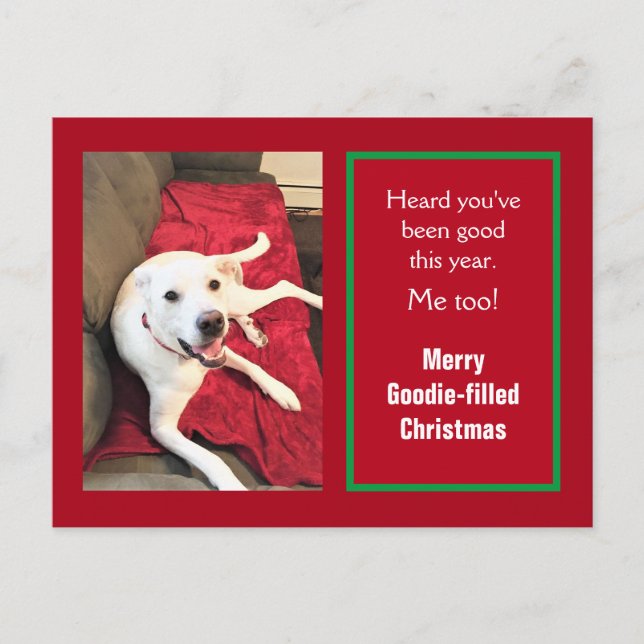 Photo of Cute Smiling White Dog Red Christmas Holiday Postcard (Front)