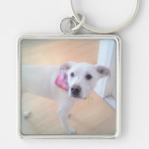 Photo of Cute Sweet White Puppy Dog Face Key Ring