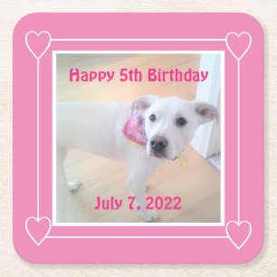 Photo of Cute Sweet White Puppy Dog Face Pink Square Paper Coaster