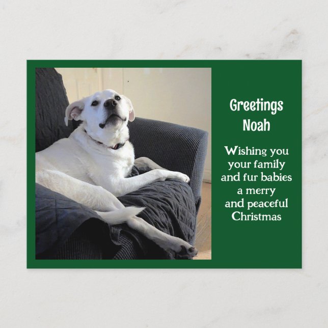 Photo of Cute Talking Dog Green Christmas Postcard (Front)