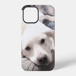 Photo of Cute Tired dog With Dad on Couch iPhone 12 Case