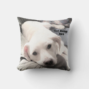 Photo of Cute Tired dog With Dad on Couch Square Cushion