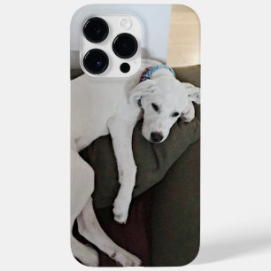 Photo of Cute Tired Puppy Dog Clinging to Chair Case-Mate iPhone 14 Pro Max Case