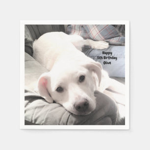 Photo of Cute Tired White Dog on Couch with Dad Napkin