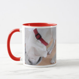 Photo of Cute White Dog Drinking Water Red Mug