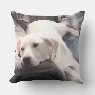 Photo of Cute White Dog Hanging Out with Dad Cushion
